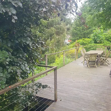 Crisand 5 Anjofina * Altenau (Lower-Saxony)